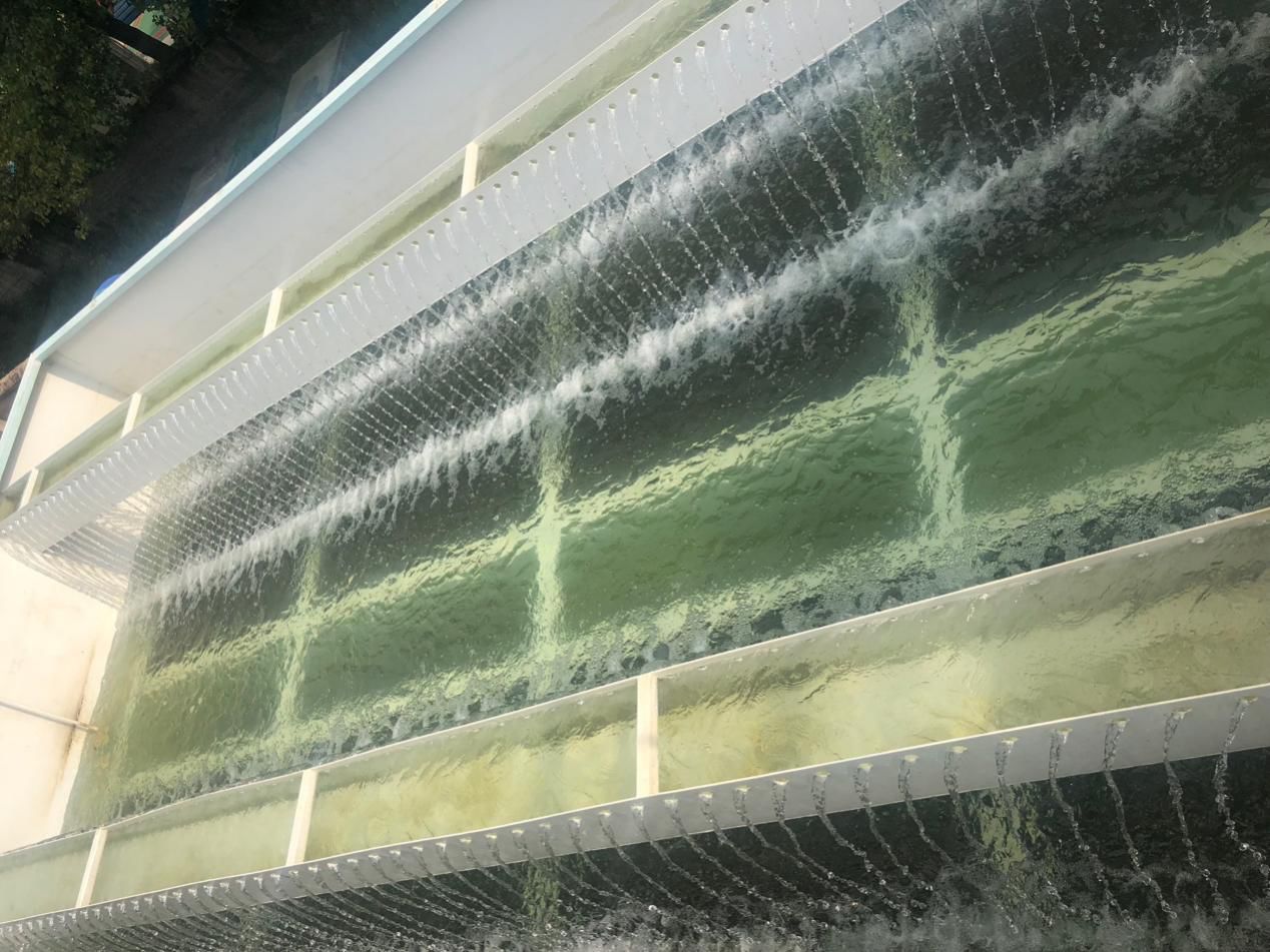 天津FMBR技术是如何助推农村污水处理的